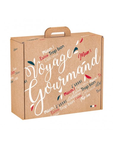 SMALL Voyage Gourmand kraft cardboard suitcase