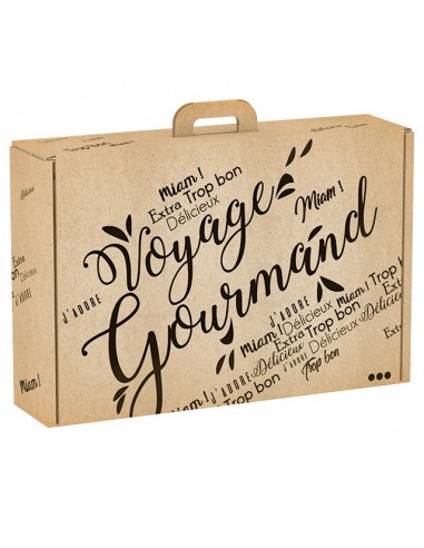 GIANT Voyage Gourmand kraft cardboard suitcase