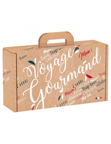SMALL Voyage Gourmand kraft cardboard suitcase