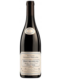Domaine POULLEAU Père & Fils Bourgogne Pinot Noir 2018 Tinto