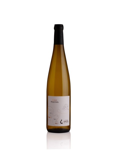 Pinot Gris 2020 Alsace Tradition Blanc fruité Domaine Engel