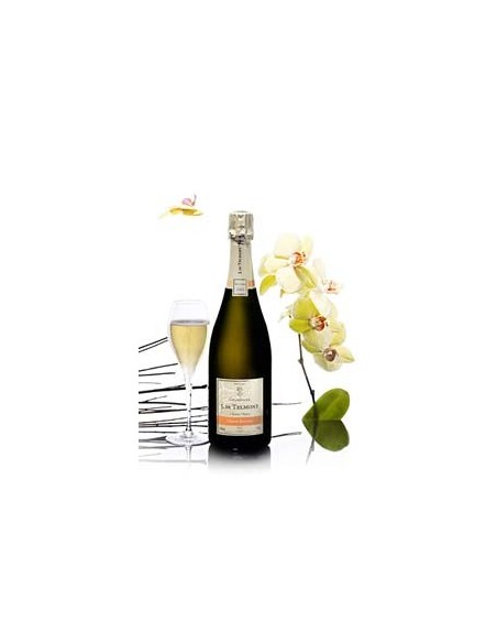 Champagne Telmont Grand vintage brut 2012 Millesimes 75cl