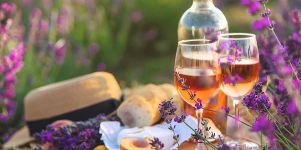 Spring Wine Tasting: Discover the Best French Wines